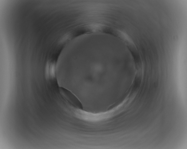 X0000113940047200910091631