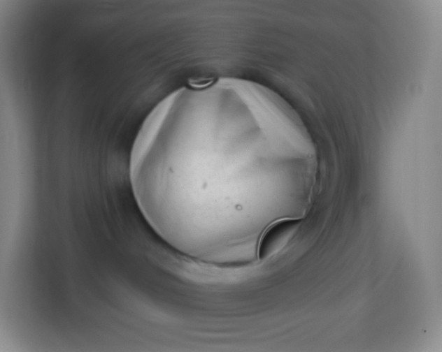 X0000113940048200910091631