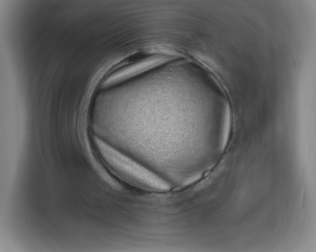 X0000113940049200910091631