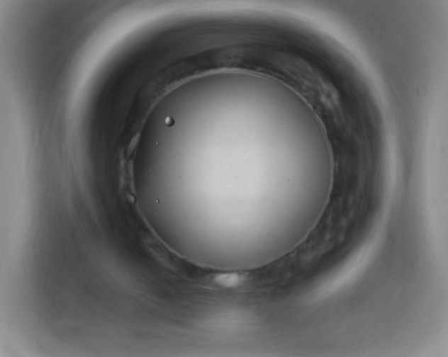 X0000113940050200910091631