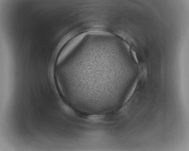 X0000113940051200910091631