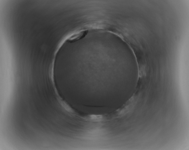 X0000113940052200910091631