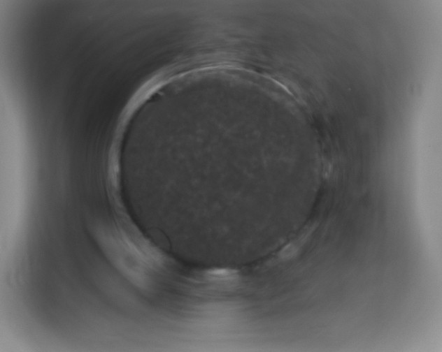 X0000113940053200910091631