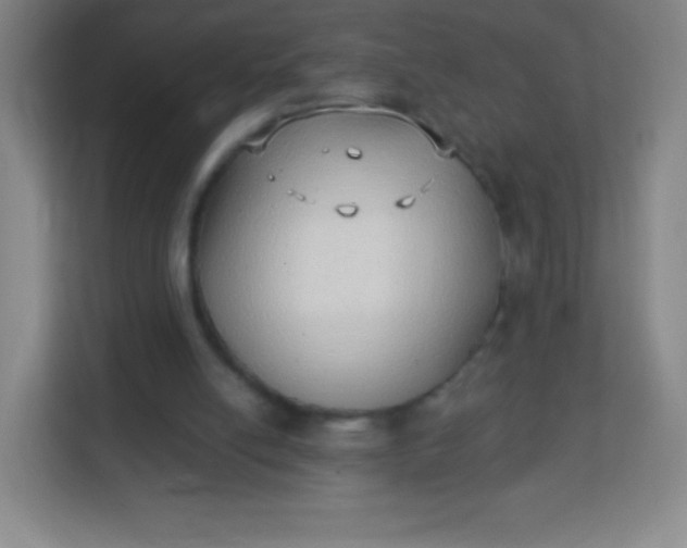 X0000113940054200910091631