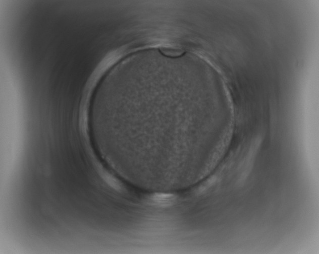 X0000113940055200910091631