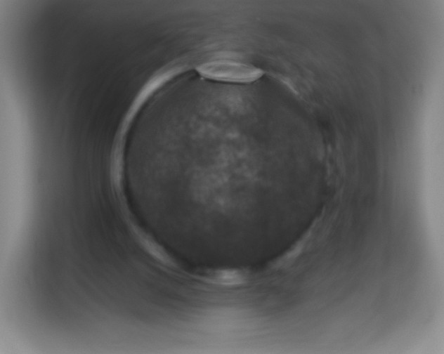 X0000113940056200910091631