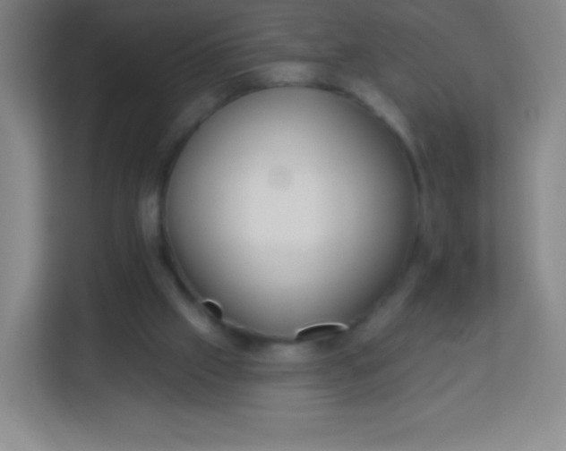 X0000113940057200910091631