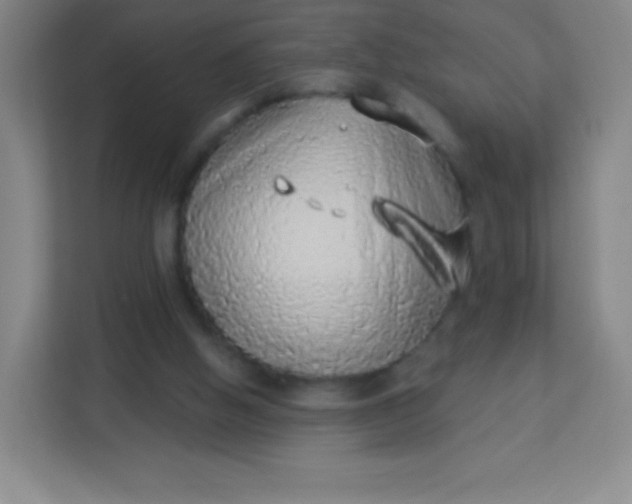 X0000113940058200910091631