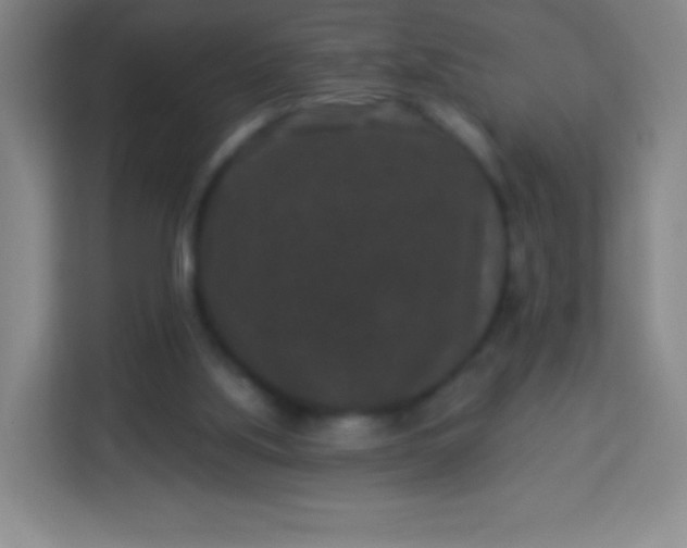 X0000113940059200910091631