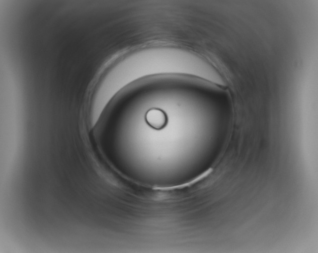 X0000113940060200910091631