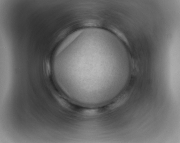 X0000113940061200910091631