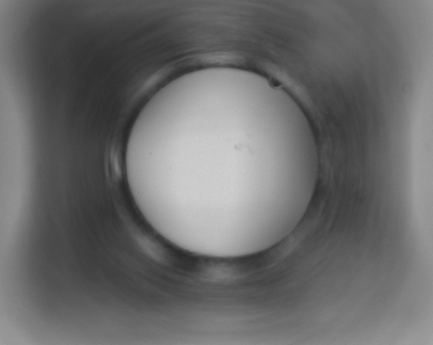 X0000113940062200910091631