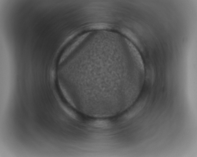 X0000113940063200910091631