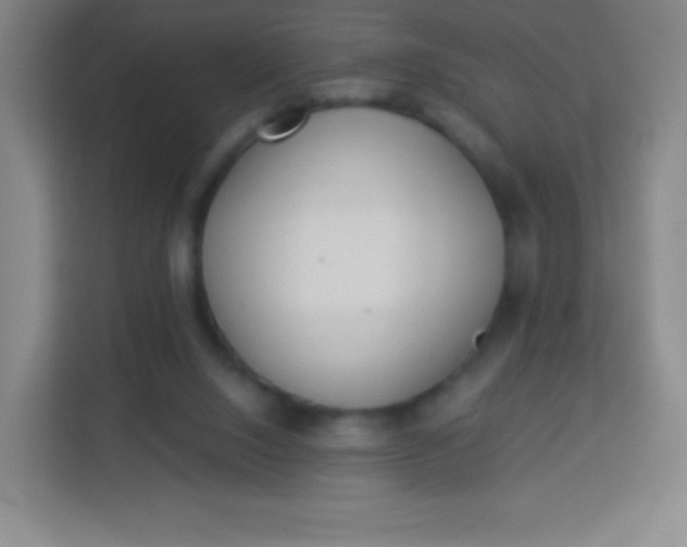 X0000113940064200910091631