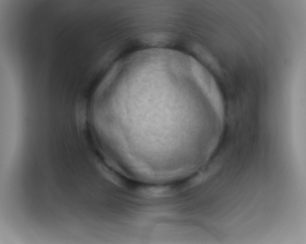 X0000113940065200910091631