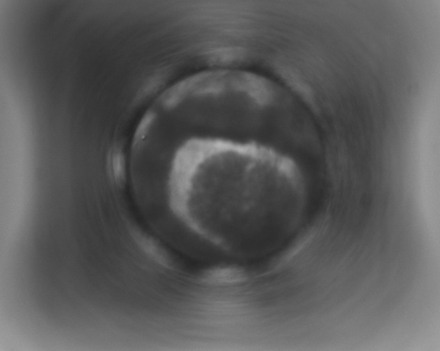 X0000113940067200910091631