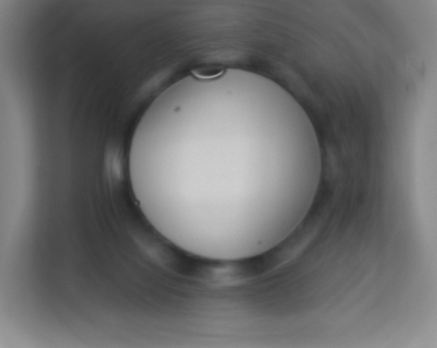 X0000113940068200910091631