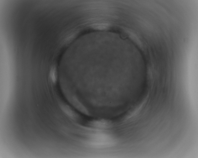 X0000113940069200910091631