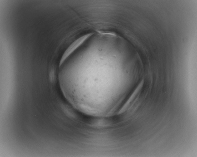 X0000113940074200910091631