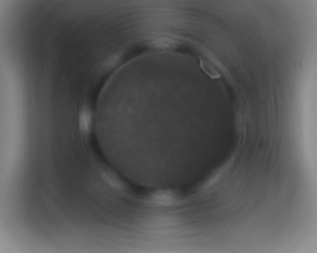 X0000113940076200910091631