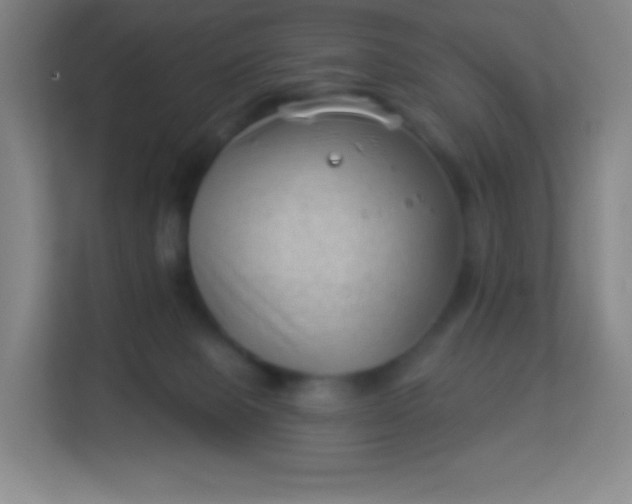 X0000113940077200910091631