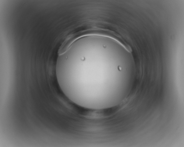 X0000113940078200910091631