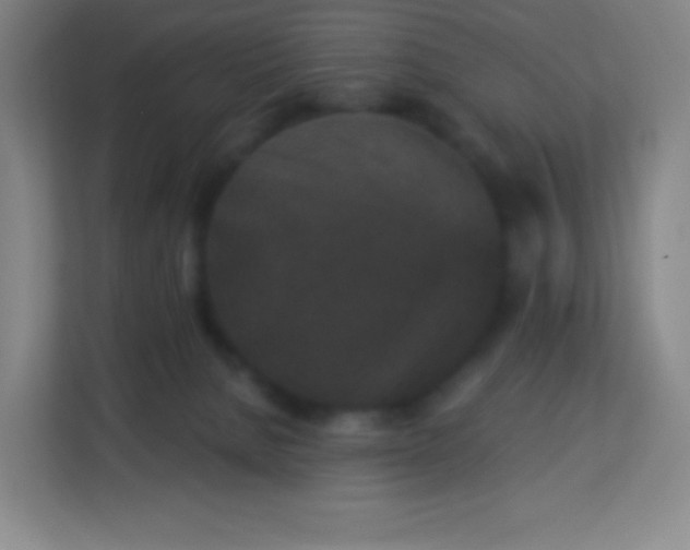 X0000113940080200910091631