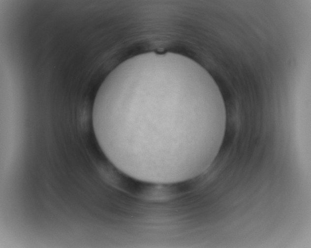 X0000113940082200910091631