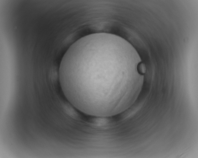 X0000113940085200910091631