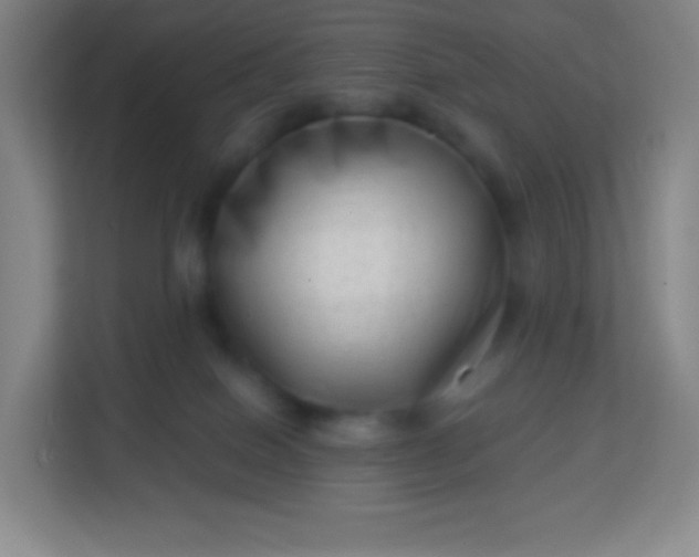 X0000113940086200910091631