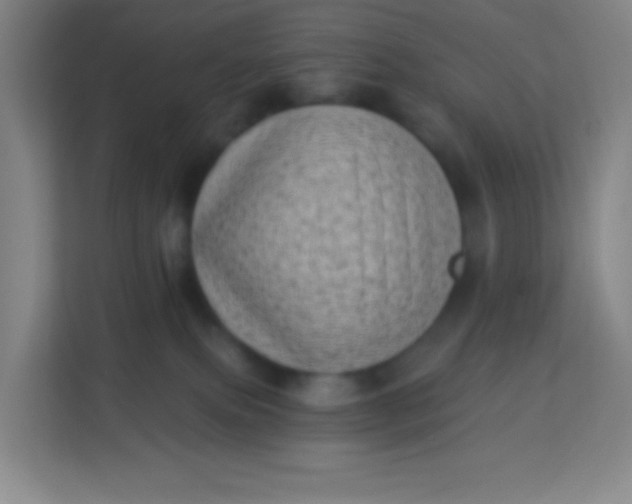 X0000113940087200910091631