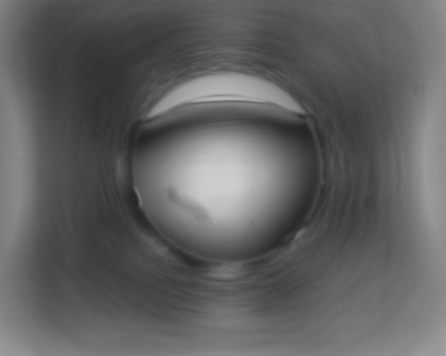 X0000113940088200910091631