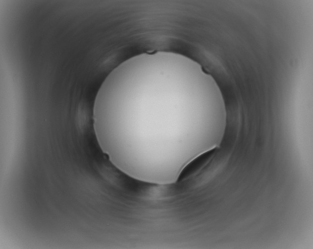 X0000113940092200910091631