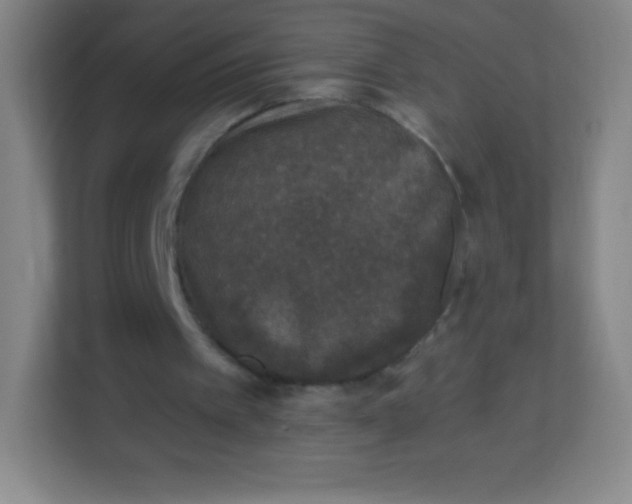 X0000113940097200910091631