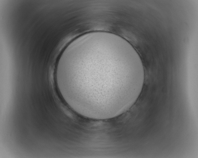 X0000113940098200910091631