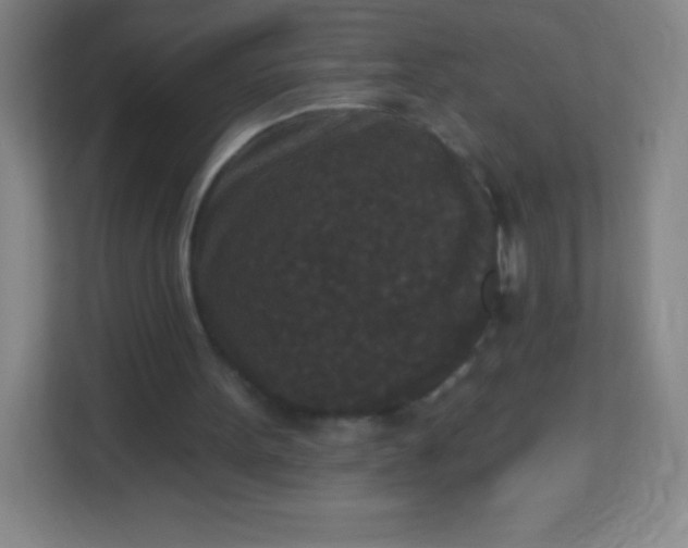 X0000113940099200910091631