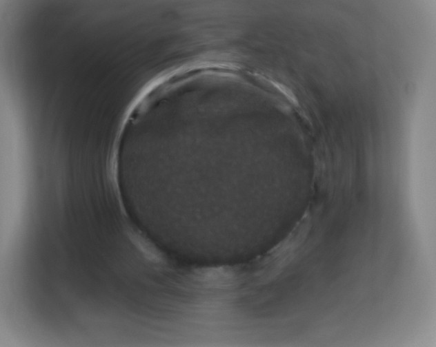 X0000113940100200910091631