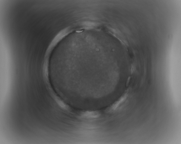 X0000113940101200910091631