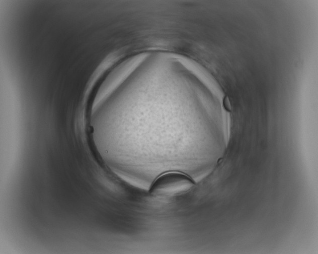 X0000113940102200910091631