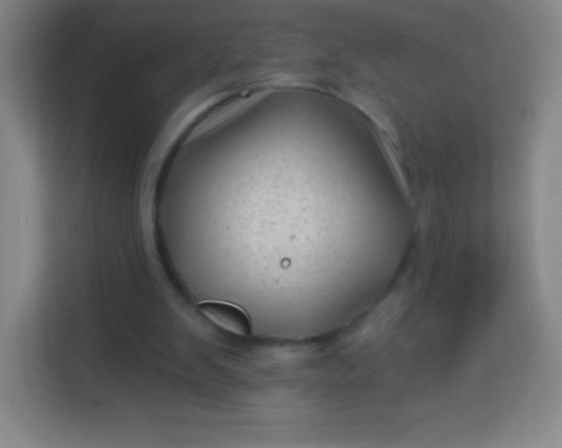 X0000113940103200910091631