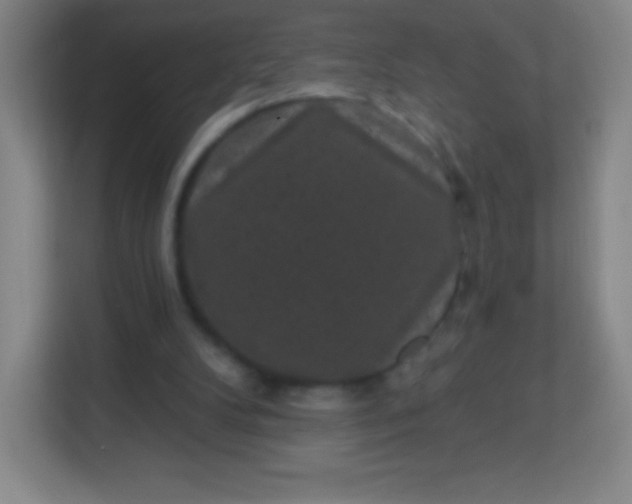 X0000113940104200910091631