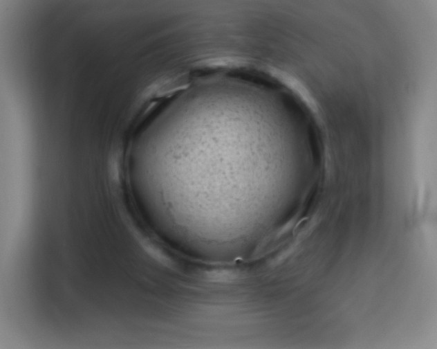 X0000113940105200910091631