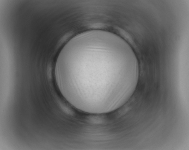 X0000113940106200910091631