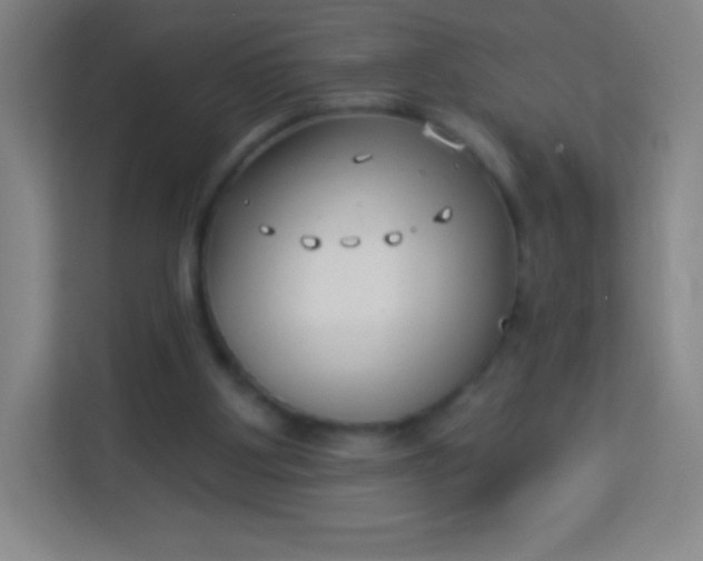 X0000113940107200910091631