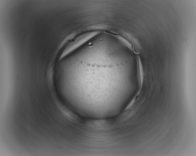 X0000113940108200910091631