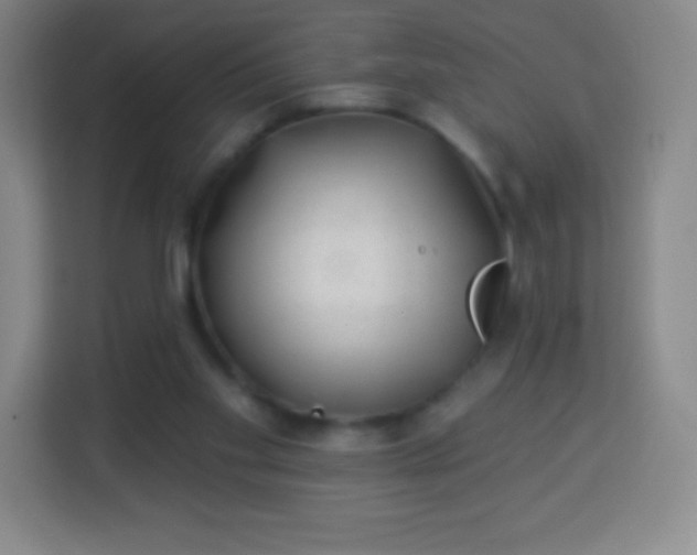 X0000113940109200910091631