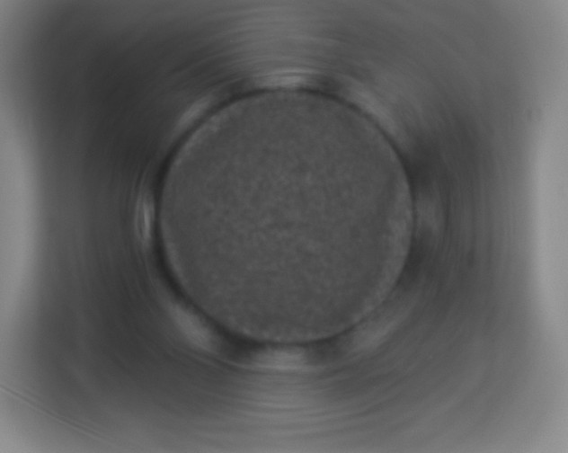 X0000113940110200910091631