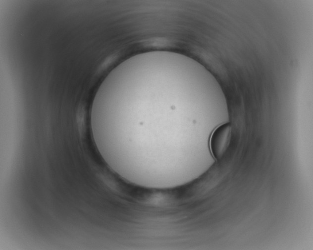 X0000113940111200910091631