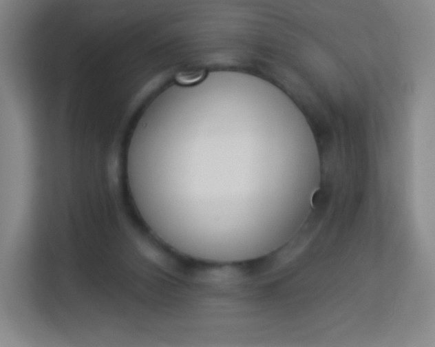 X0000113940112200910091631