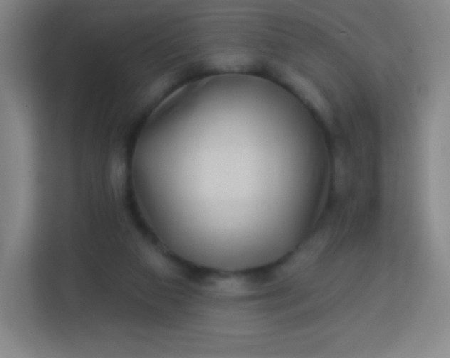 X0000113940113200910091631